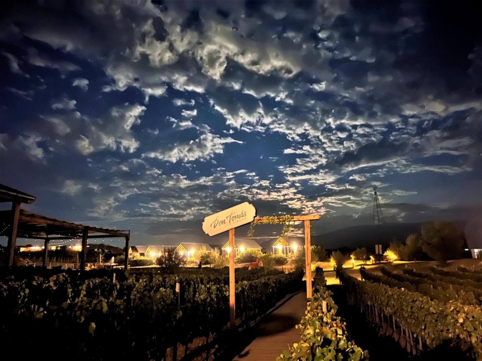 Don Tomas Vinedo Cabanas Valle de Guadalupe Εξωτερικό φωτογραφία