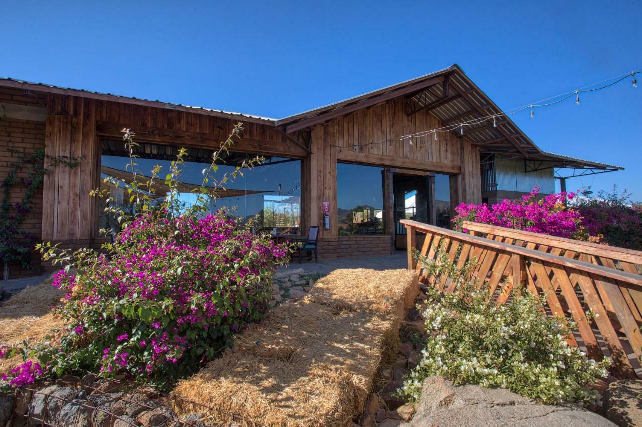 Don Tomas Vinedo Cabanas Valle de Guadalupe Εξωτερικό φωτογραφία